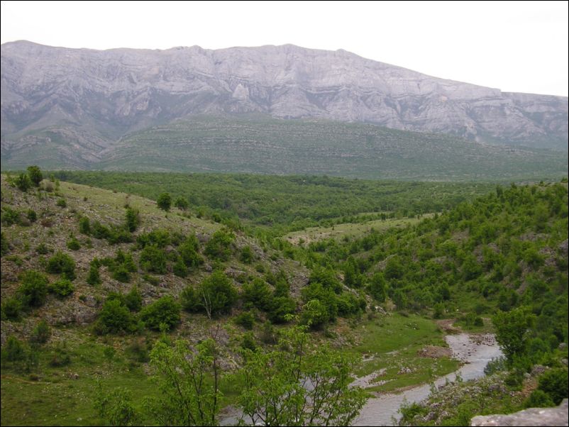 Krcic (33)